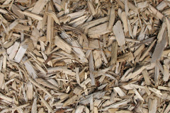 biomass boilers White Le Head